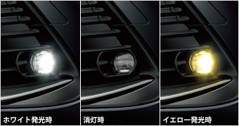 LED fog lamps
